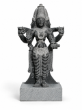 Shree Brahmi