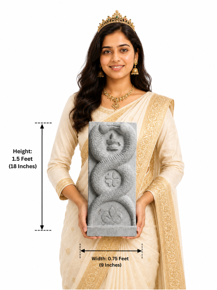 Hand-carved 1.5 ft Naga Lingam statue in polished black stone shown beside an adult model for scale with measurements.
