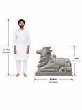 Hand-carved 3 ft Nandikeshwara statue in natural stone, product view 5 highlighting the sculpture and carved details.
